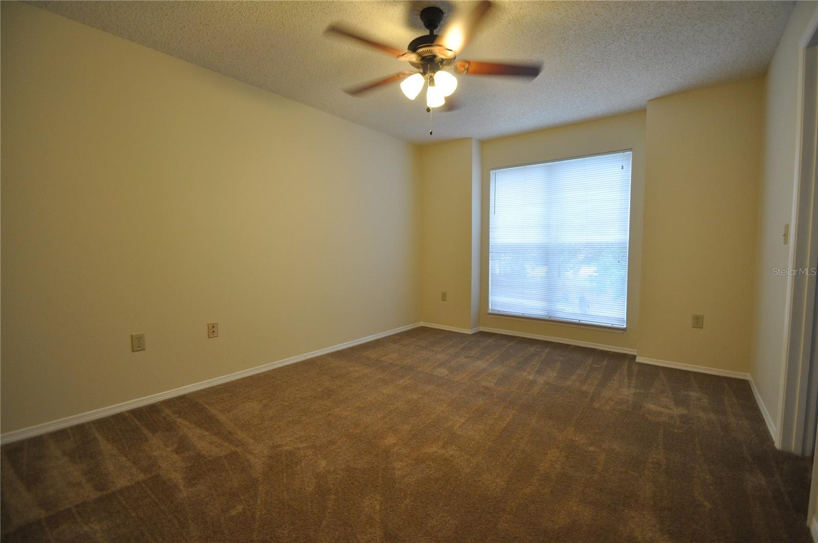 10024 STRAFFORD OAK CT #813, TAMPA, FL, 33624