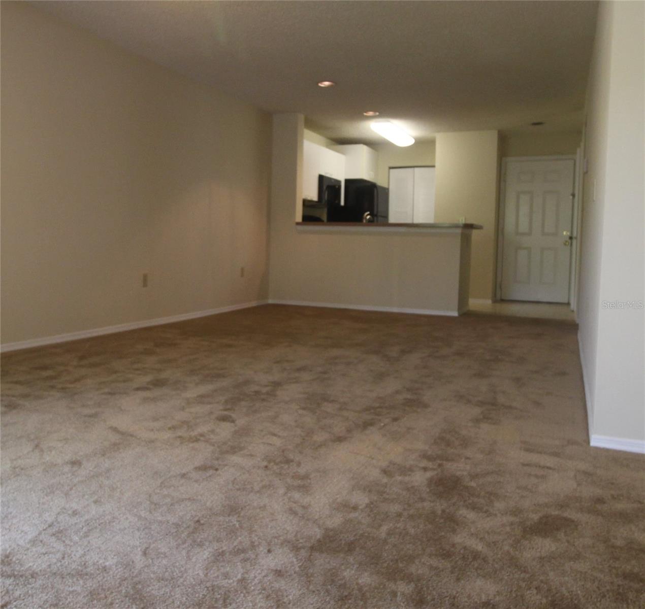 10024 STRAFFORD OAK CT #813, TAMPA, FL, 33624