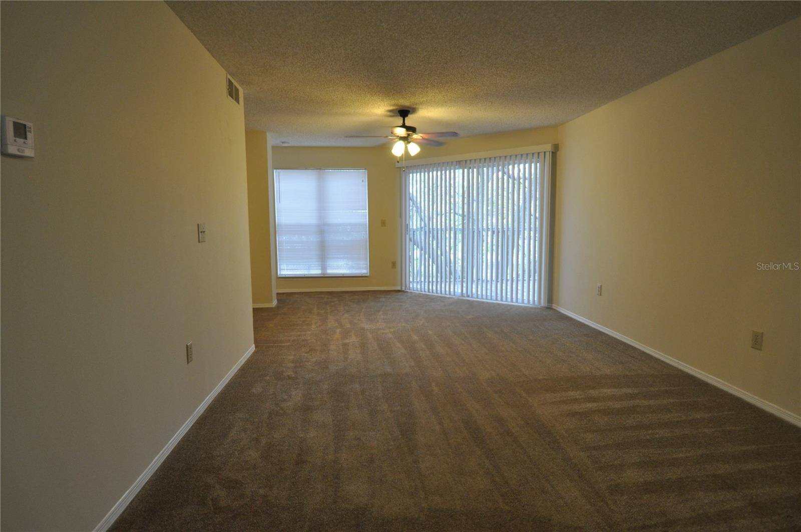10024 STRAFFORD OAK CT #813, TAMPA, FL, 33624