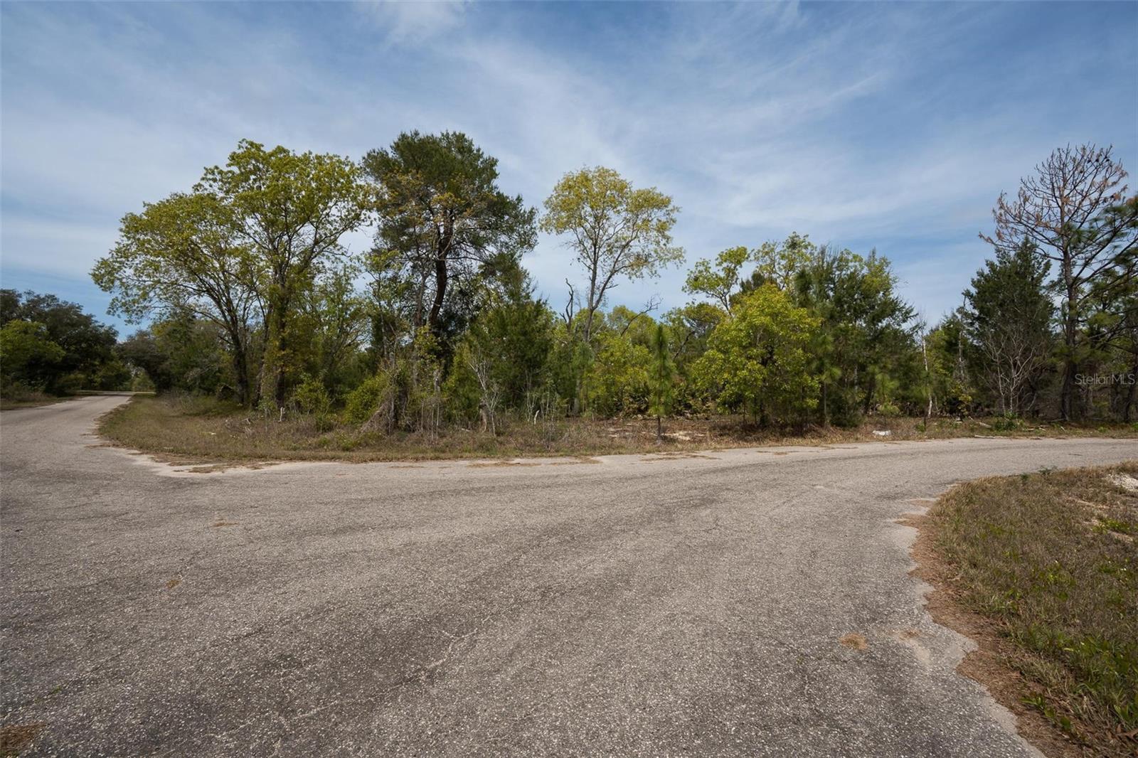 GUAVA PASS WAY, OCKLAWAHA, FL, 32179