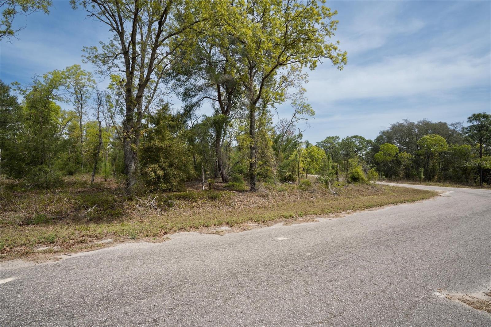 GUAVA PASS WAY, OCKLAWAHA, FL, 32179