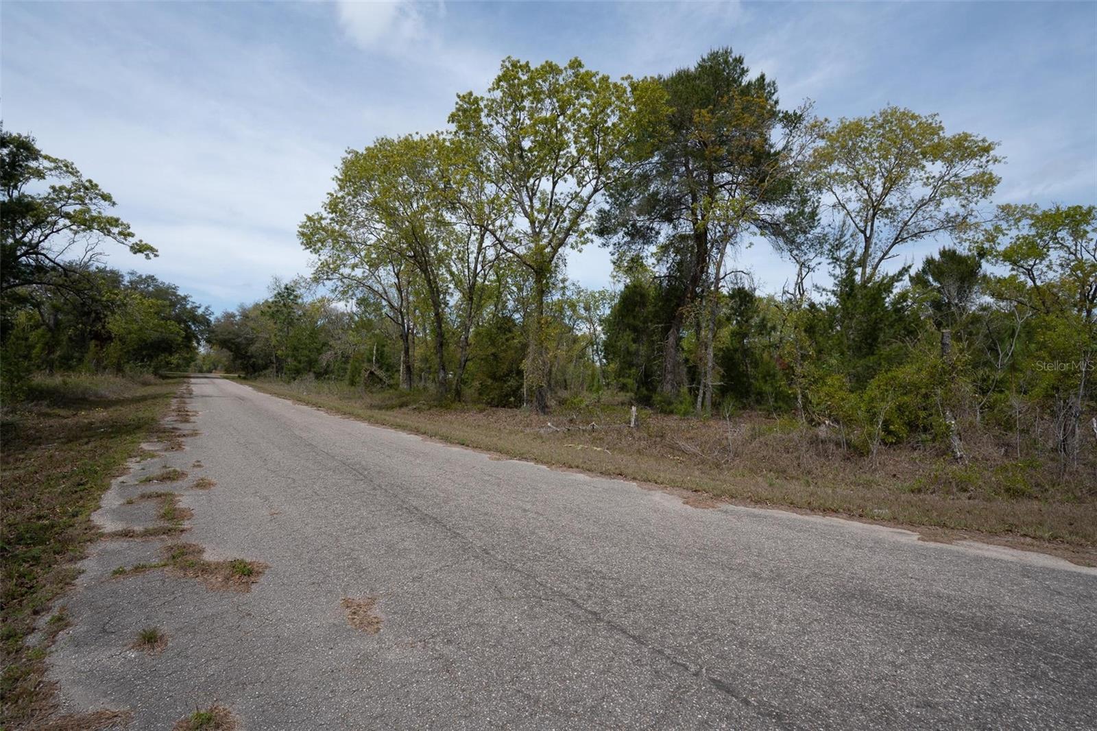 GUAVA PASS WAY, OCKLAWAHA, FL, 32179