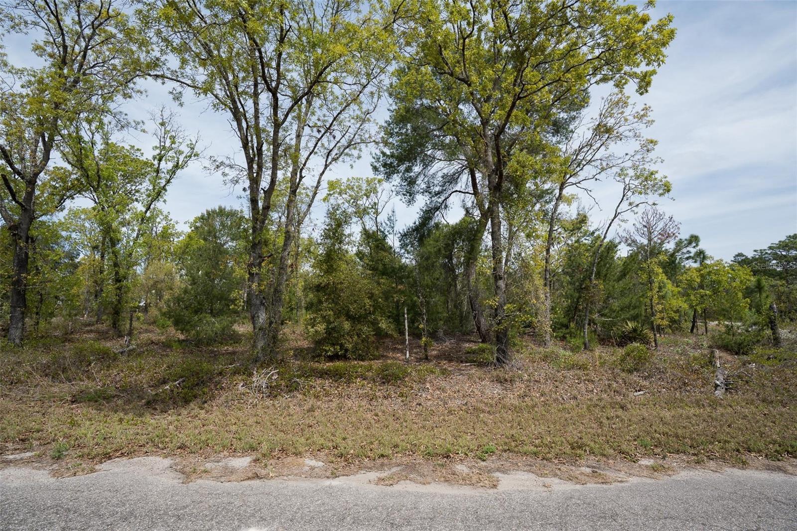 GUAVA PASS WAY, OCKLAWAHA, FL, 32179