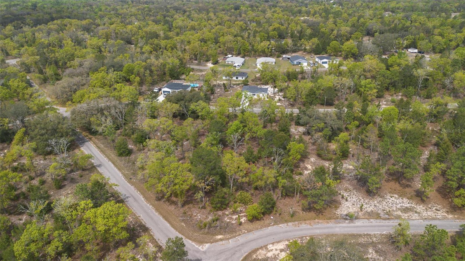 GUAVA PASS WAY, OCKLAWAHA, FL, 32179
