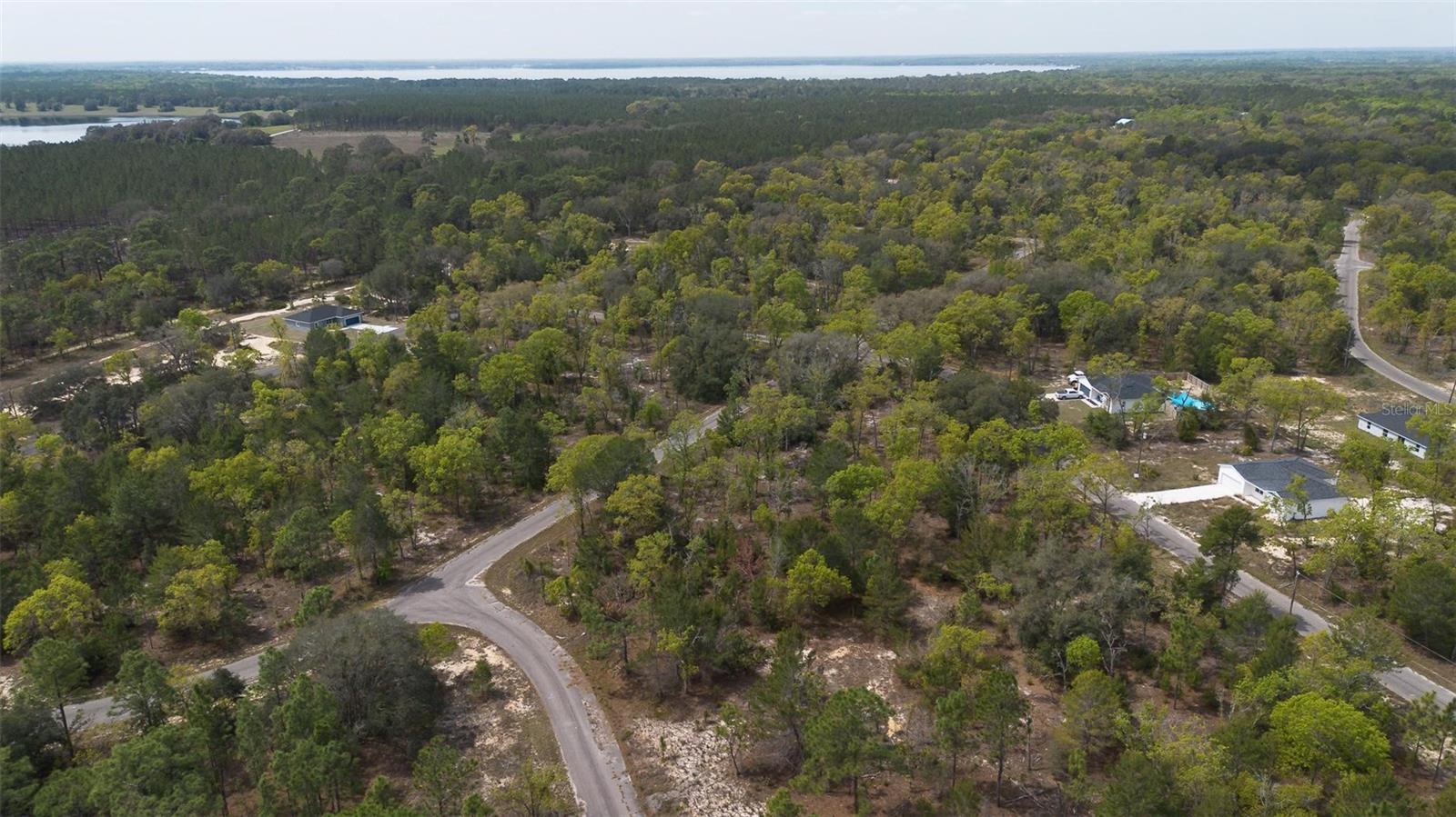 GUAVA PASS WAY, OCKLAWAHA, FL, 32179