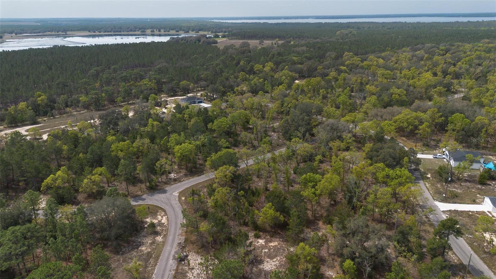 GUAVA PASS WAY, OCKLAWAHA, FL, 32179