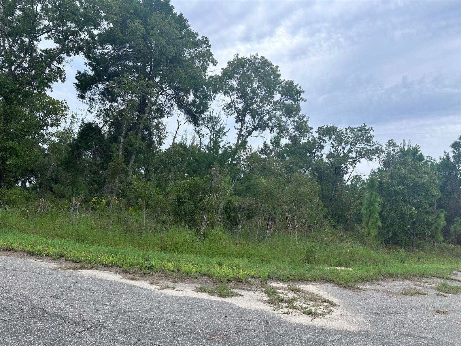 GUAVA PASS WAY, OCKLAWAHA, FL, 32179