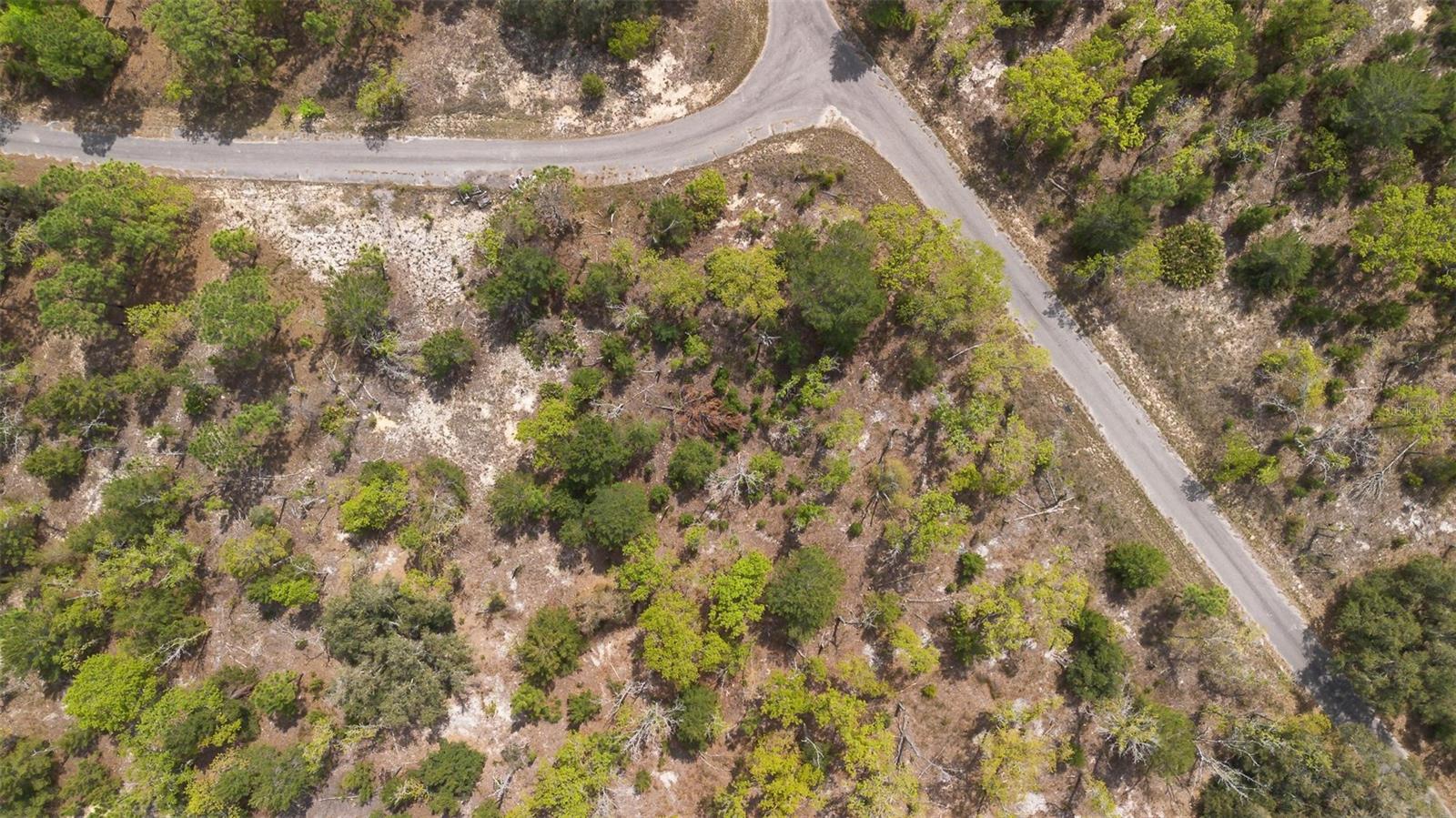 GUAVA PASS WAY, OCKLAWAHA, FL, 32179