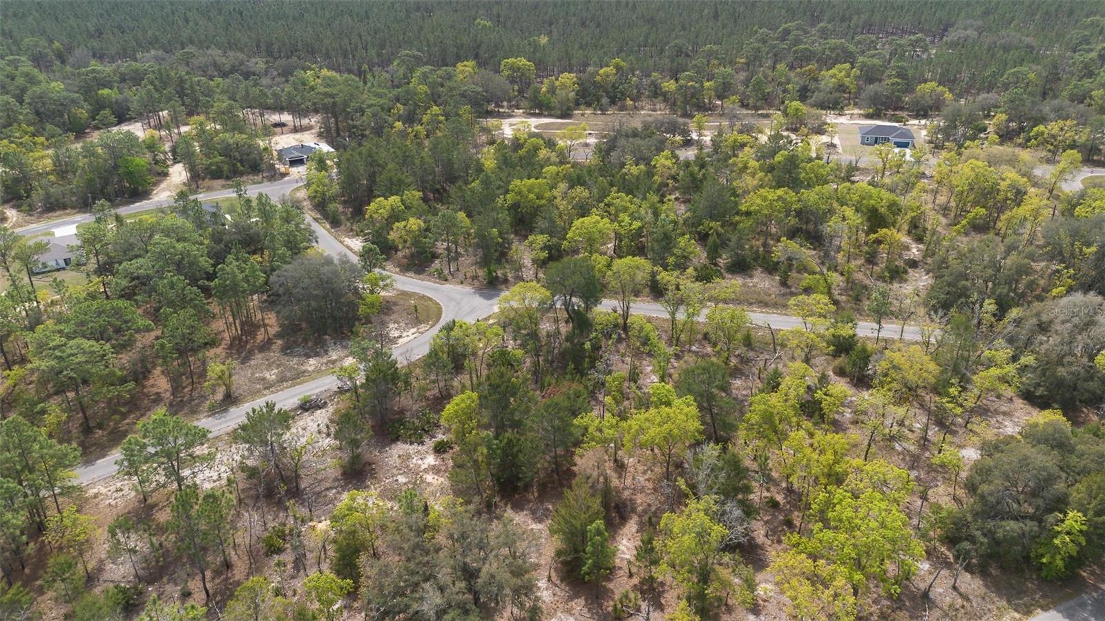 GUAVA PASS WAY, OCKLAWAHA, FL, 32179