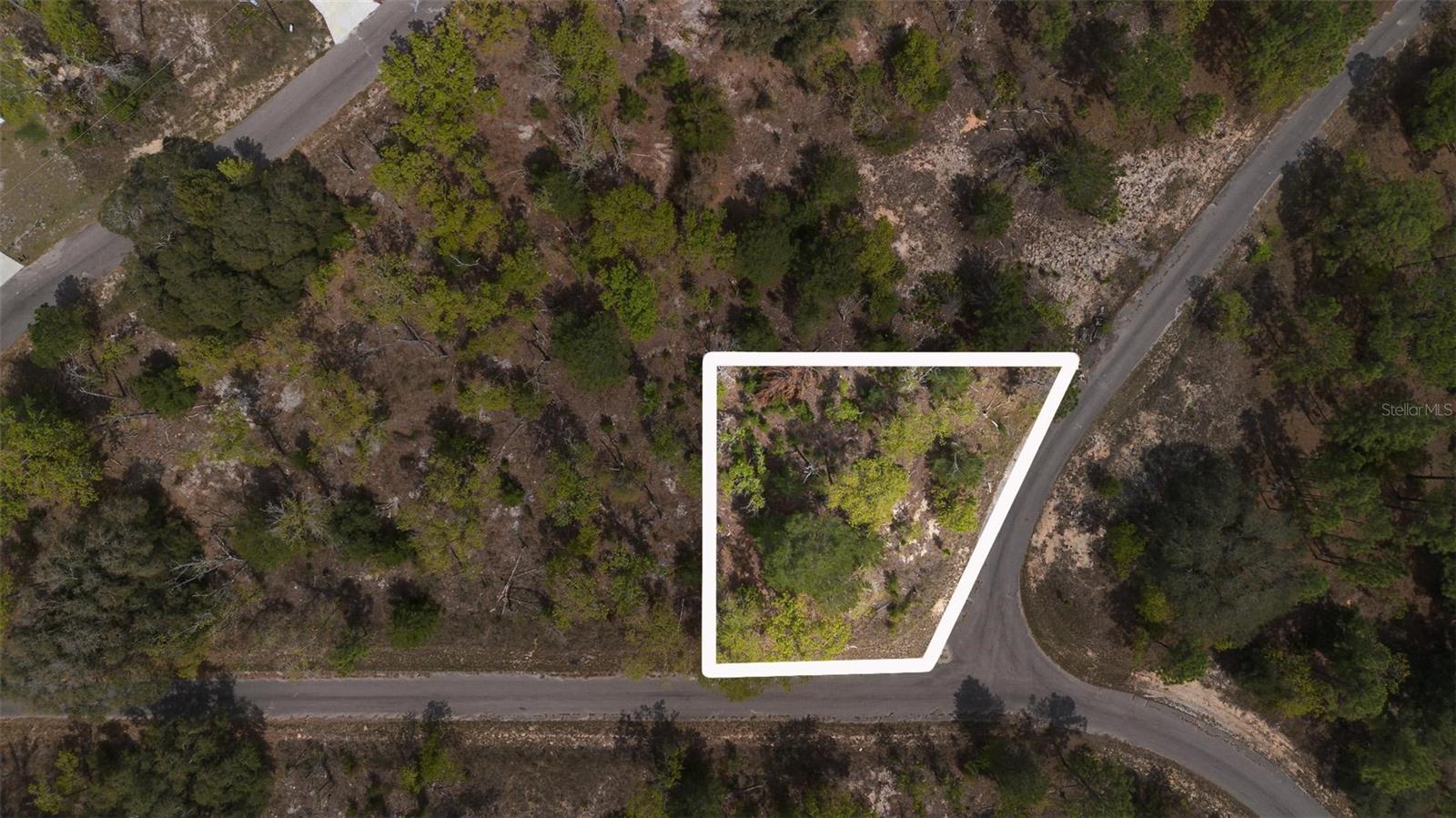 GUAVA PASS WAY, OCKLAWAHA, FL, 32179