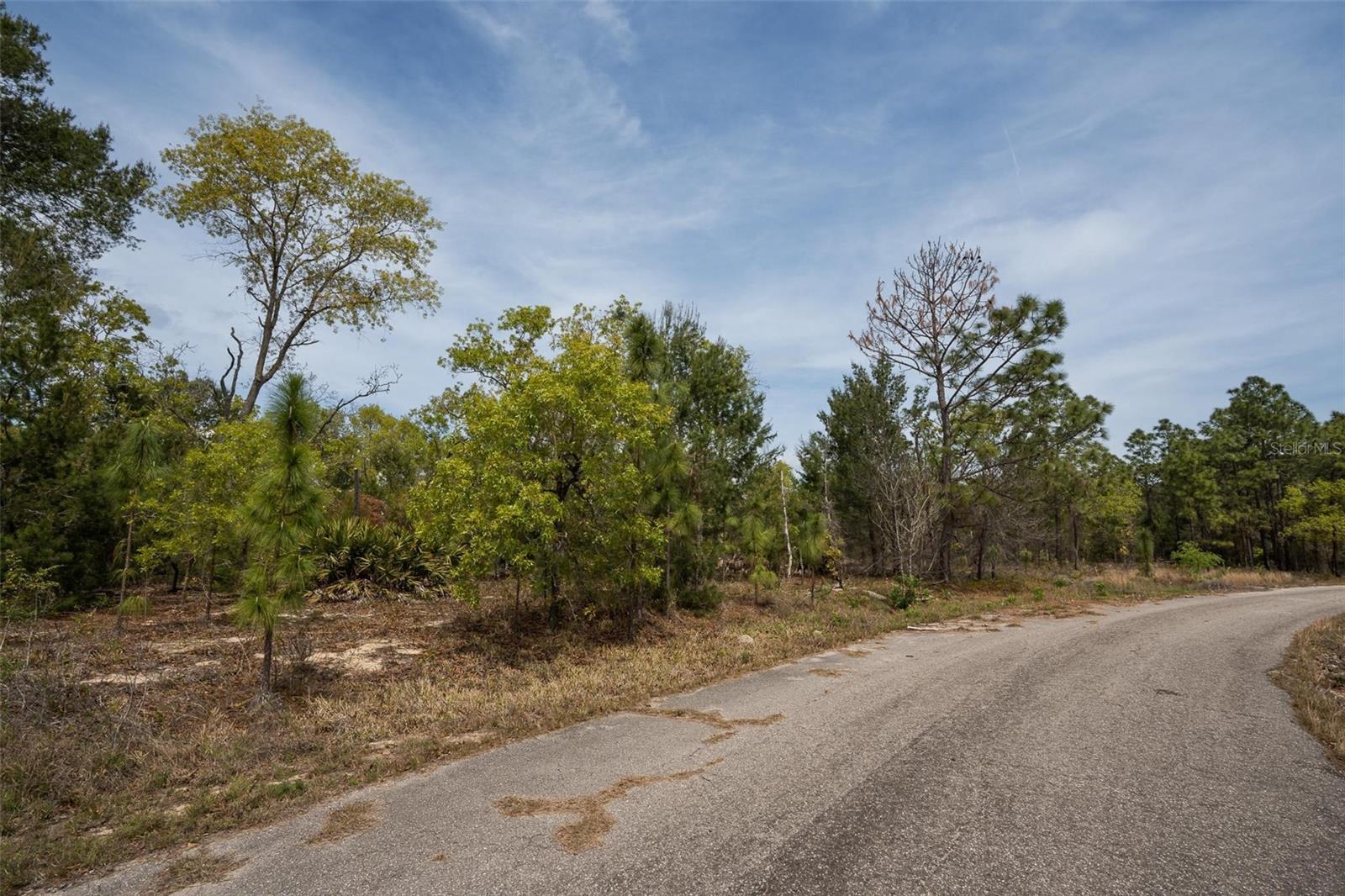 GUAVA PASS WAY, OCKLAWAHA, FL, 32179