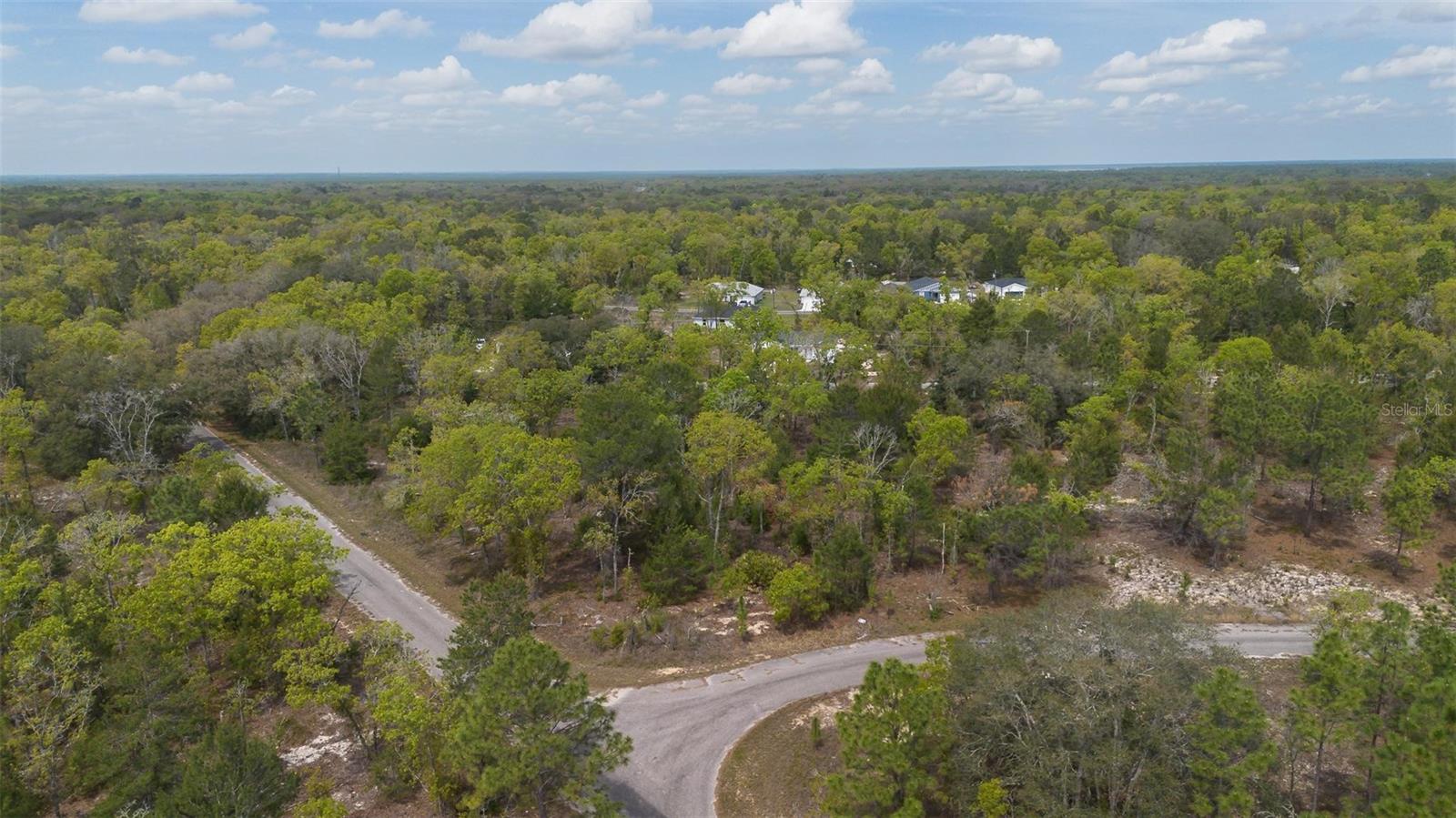 GUAVA PASS WAY, OCKLAWAHA, FL, 32179