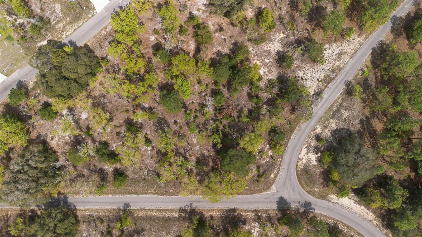 GUAVA PASS WAY, OCKLAWAHA, FL, 32179