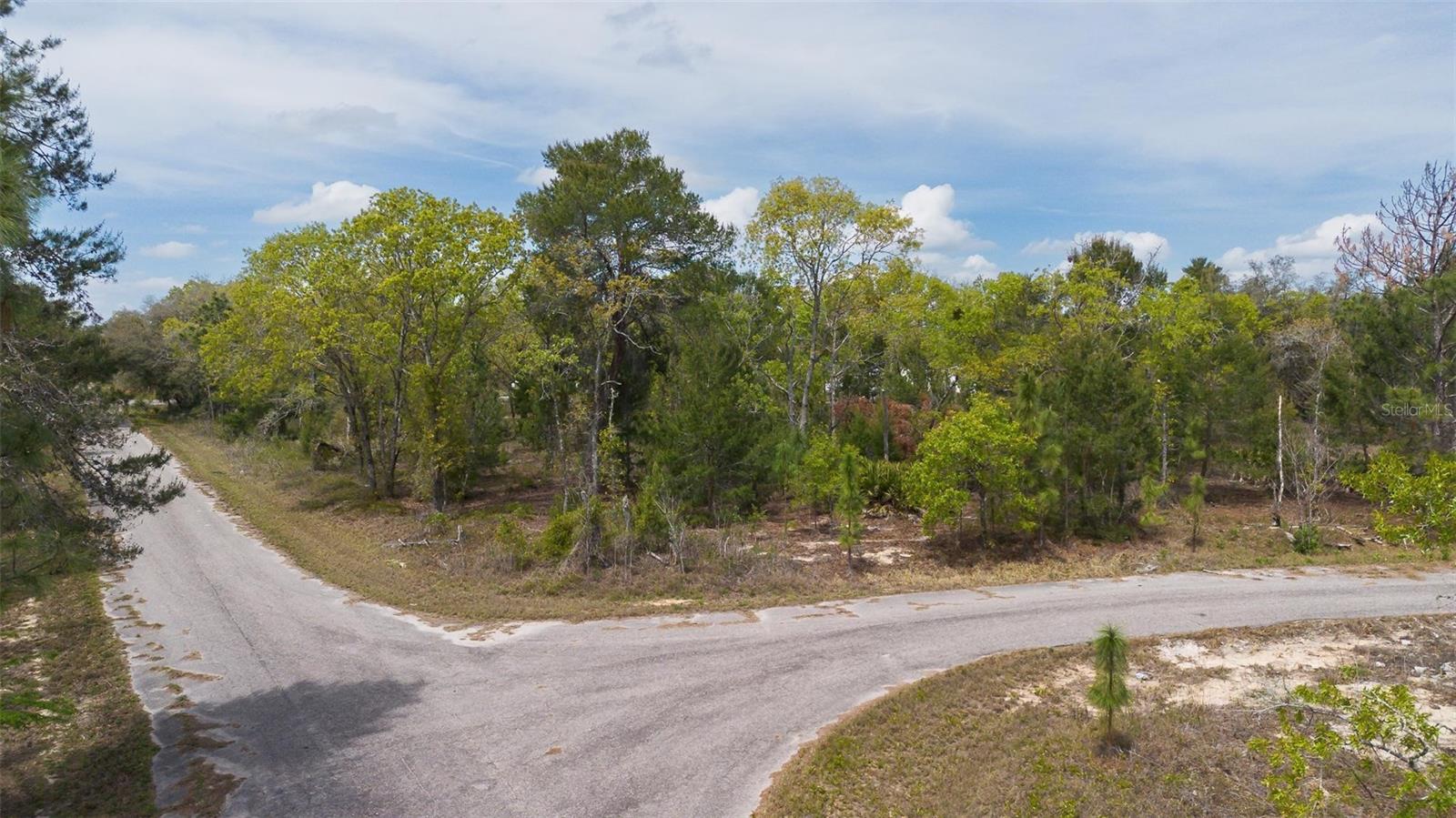 GUAVA PASS WAY, OCKLAWAHA, FL, 32179