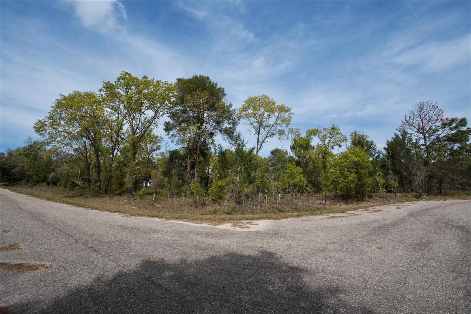 GUAVA PASS WAY, OCKLAWAHA, FL, 32179
