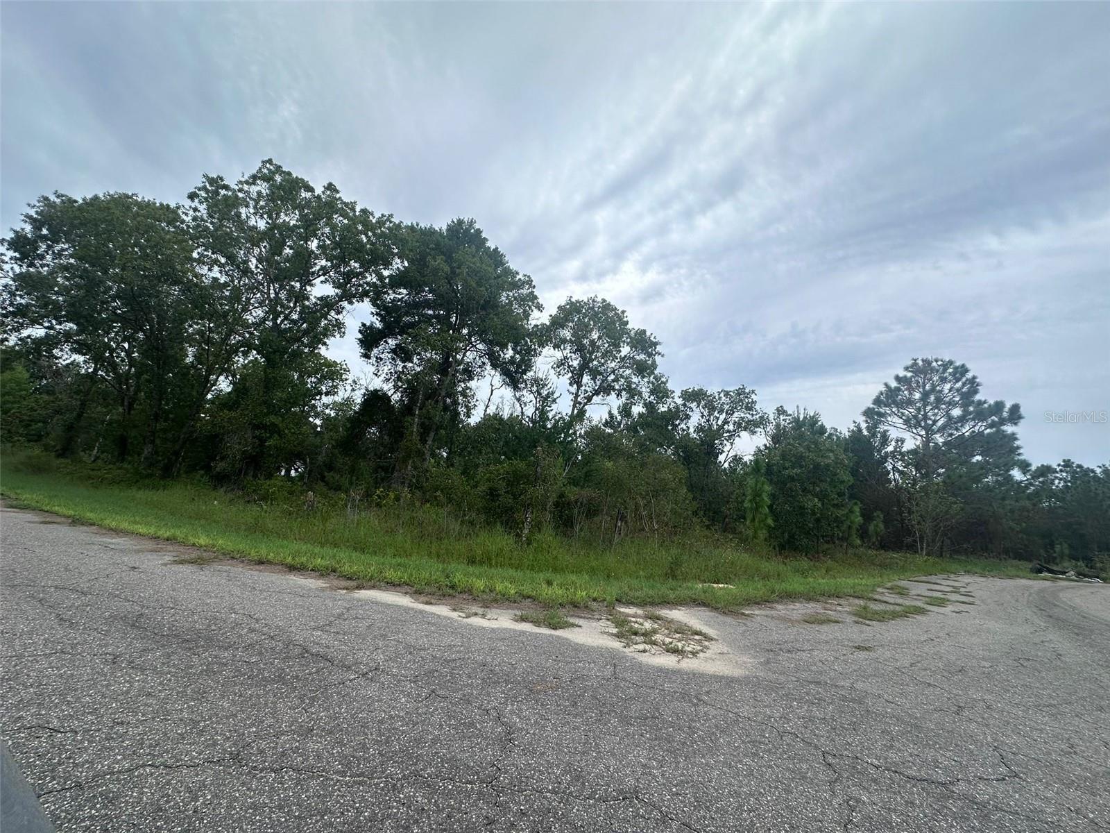 GUAVA PASS WAY, OCKLAWAHA, FL, 32179