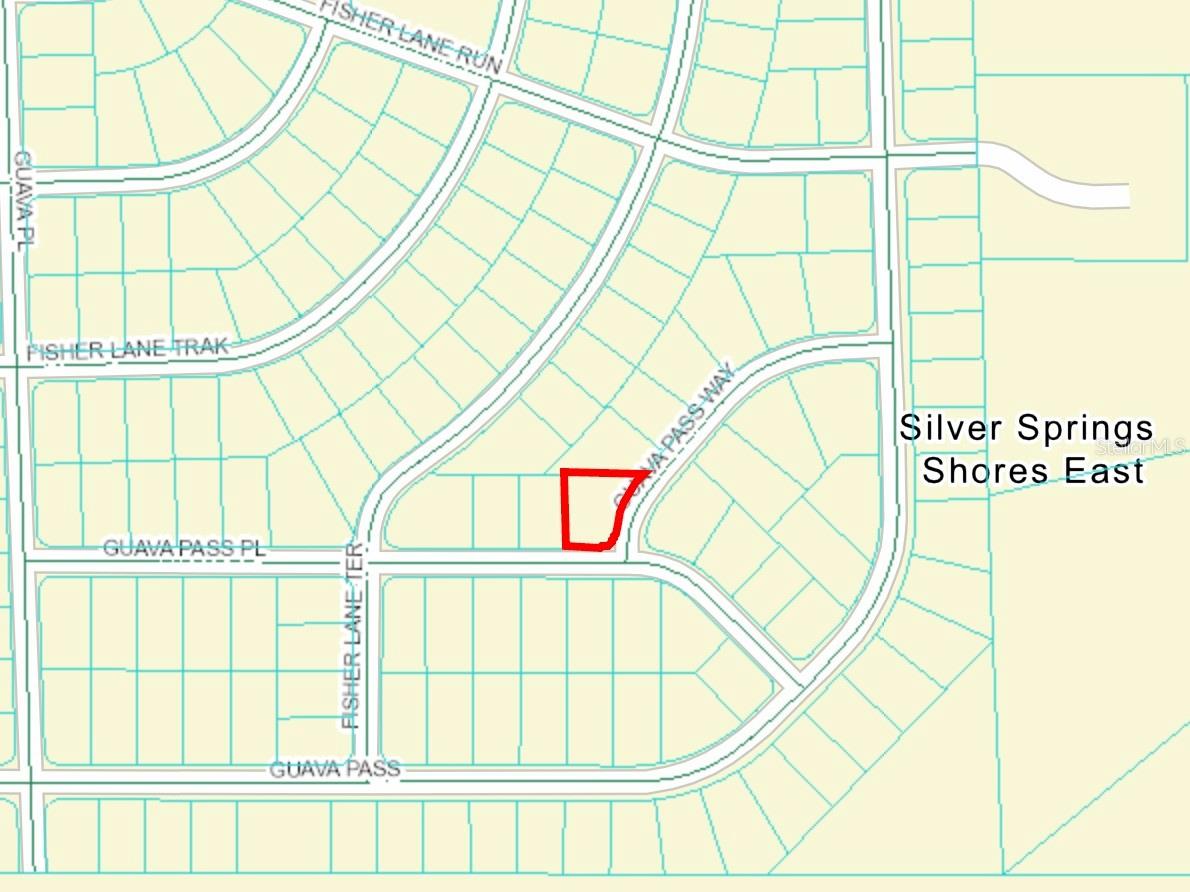 GUAVA PASS WAY, OCKLAWAHA, FL, 32179