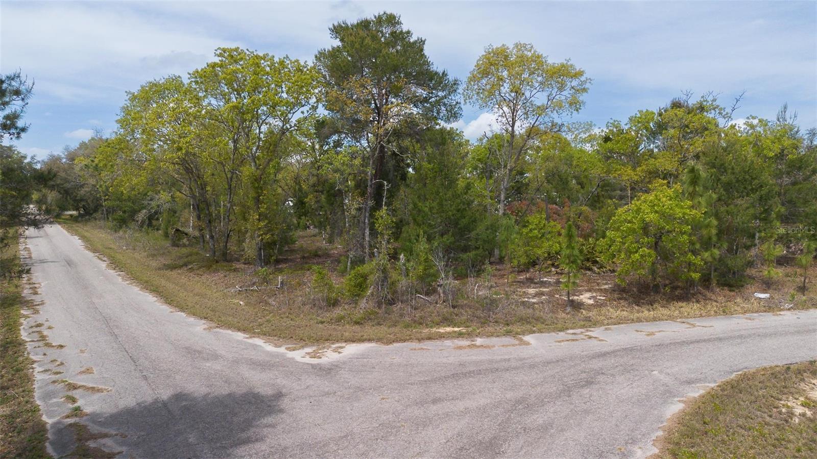 GUAVA PASS WAY, OCKLAWAHA, FL, 32179