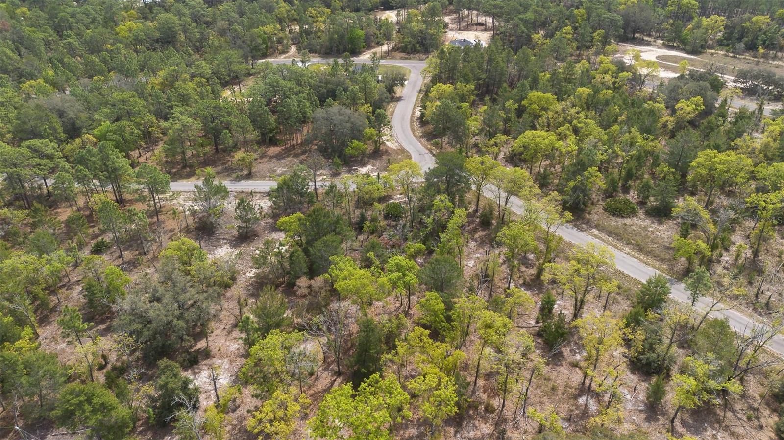 GUAVA PASS WAY, OCKLAWAHA, FL, 32179