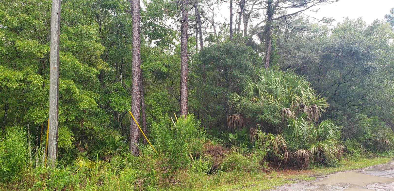 1179 N TESSA TER, CRYSTAL RIVER, FL, 34429