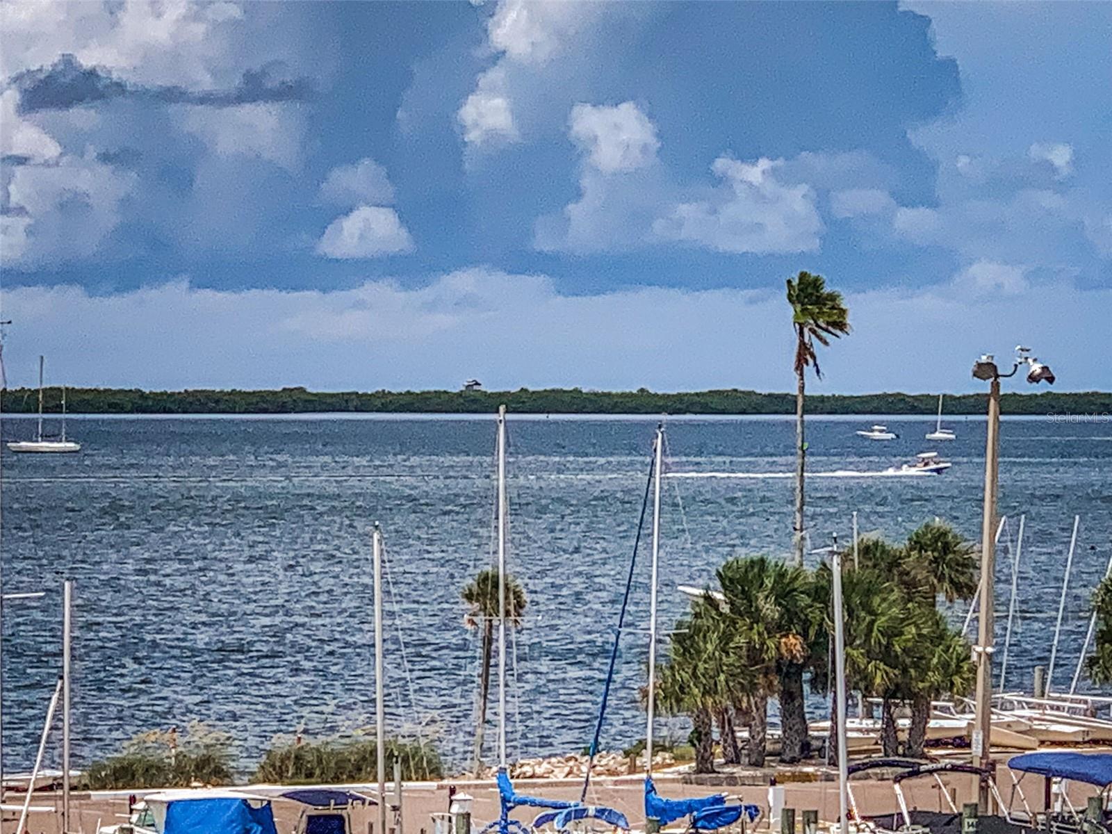 632 EDGEWATER DR #437, DUNEDIN, FL, 34698