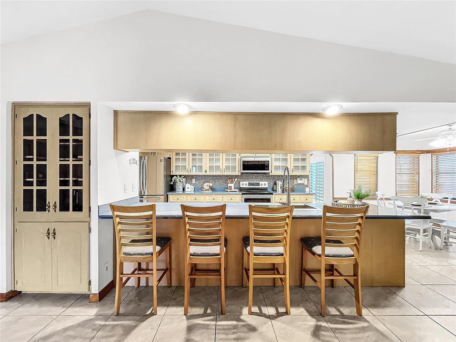 10951 LAKEVIEW DR, NEW PORT RICHEY, FL, 34654