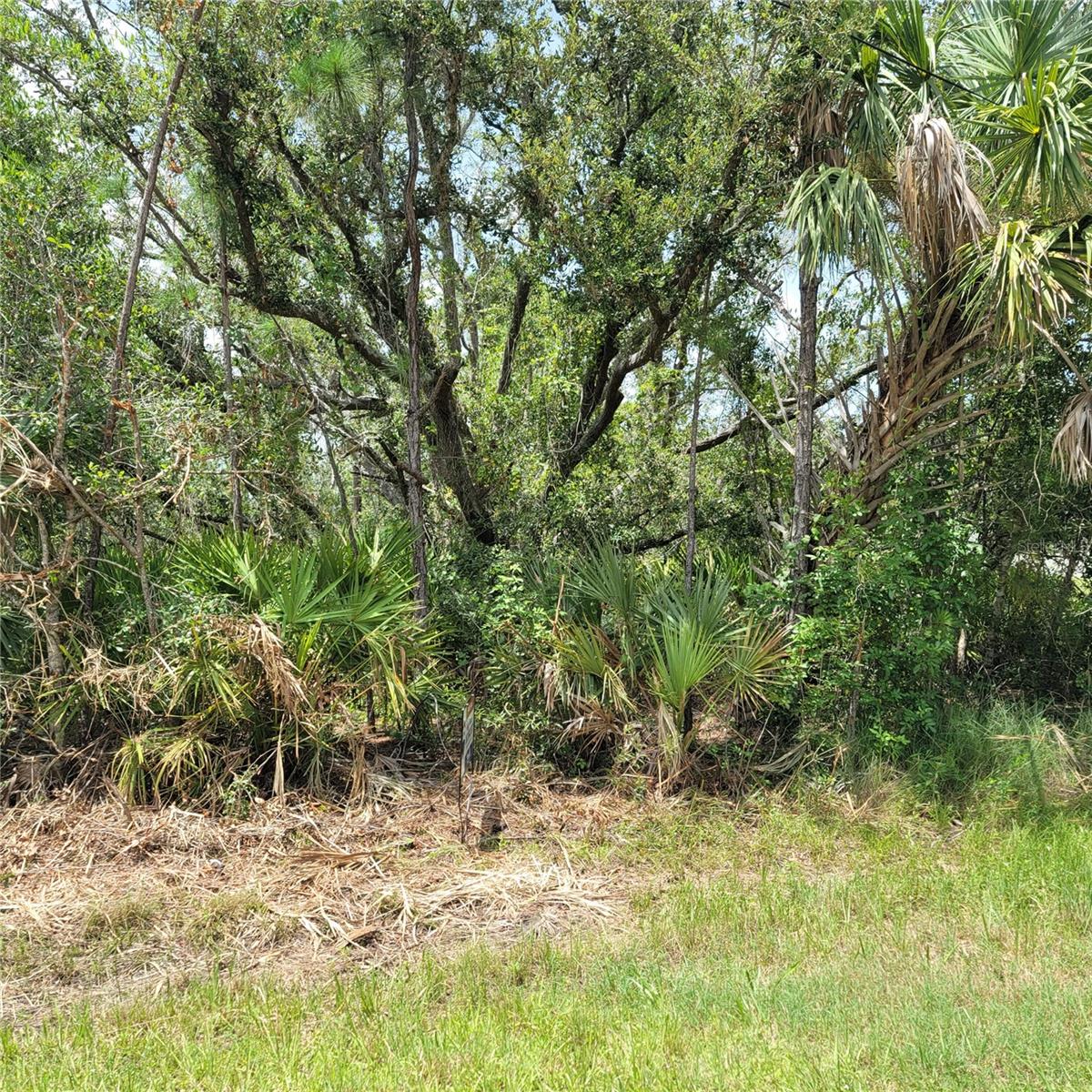 22452 DONALDA AVE, PORT CHARLOTTE, FL, 33954