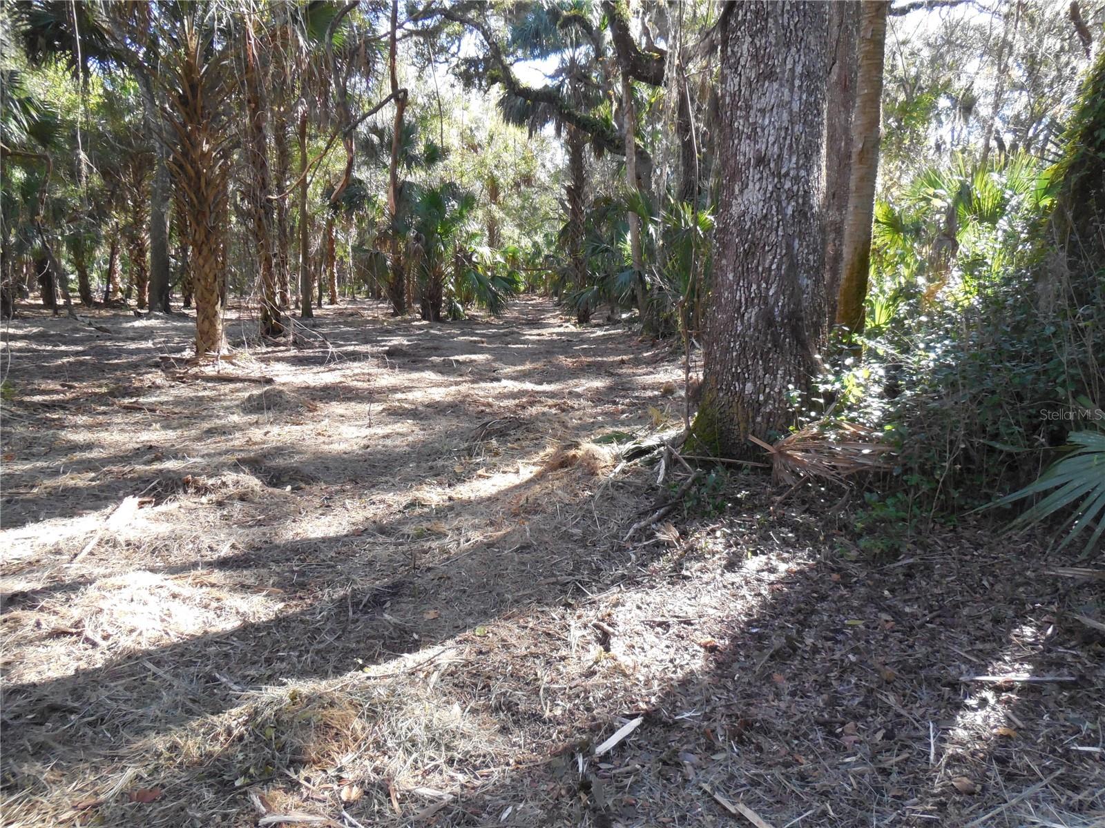 152 TALL OAK TRL, ZOLFO SPRINGS, FL, 33890