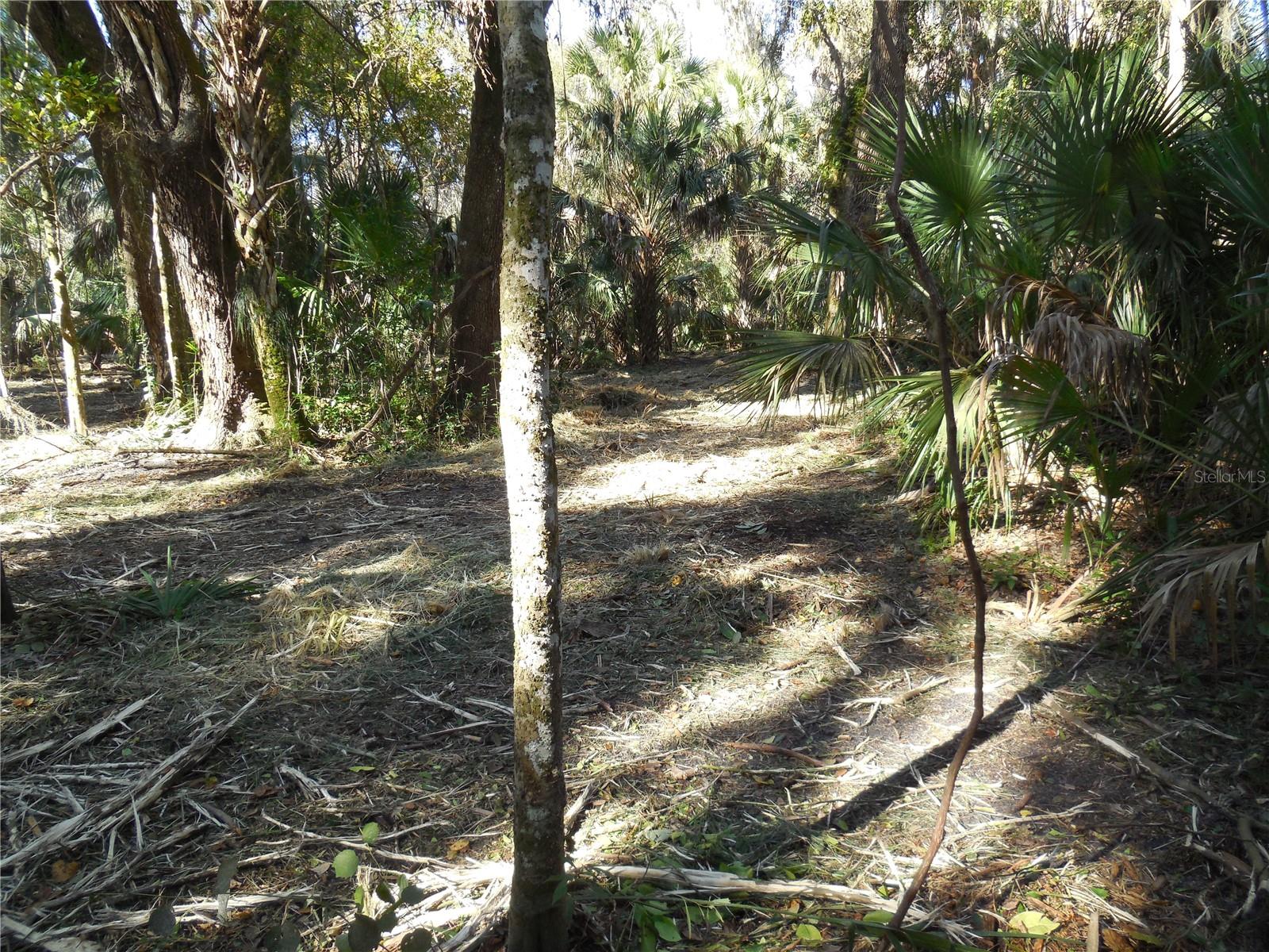 152 TALL OAK TRL, ZOLFO SPRINGS, FL, 33890