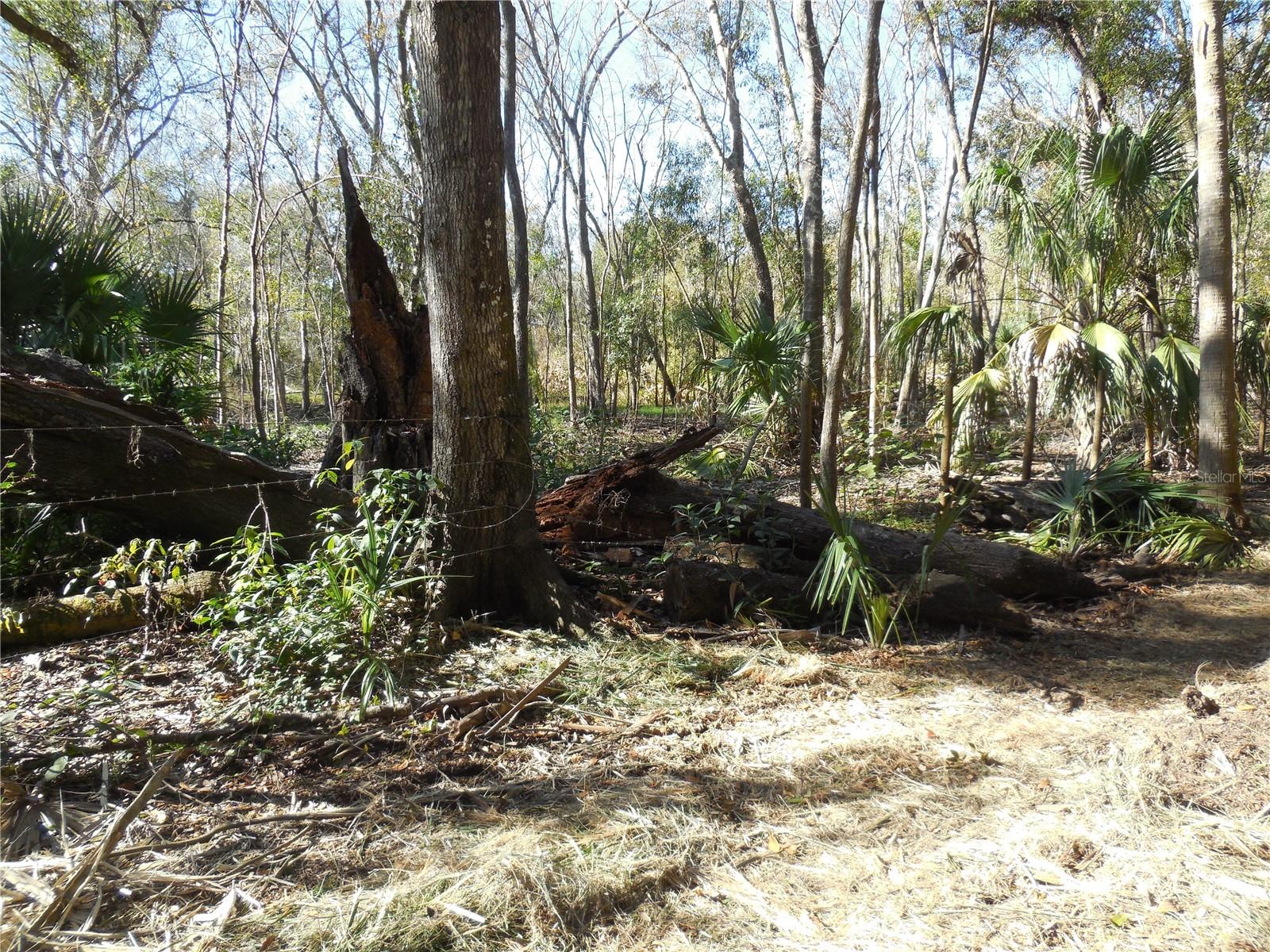 152 TALL OAK TRL, ZOLFO SPRINGS, FL, 33890