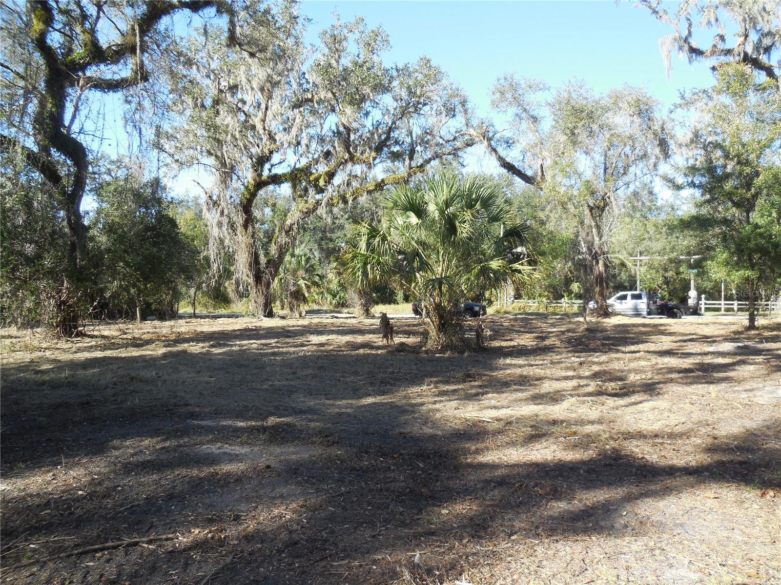 152 TALL OAK TRL, ZOLFO SPRINGS, FL, 33890