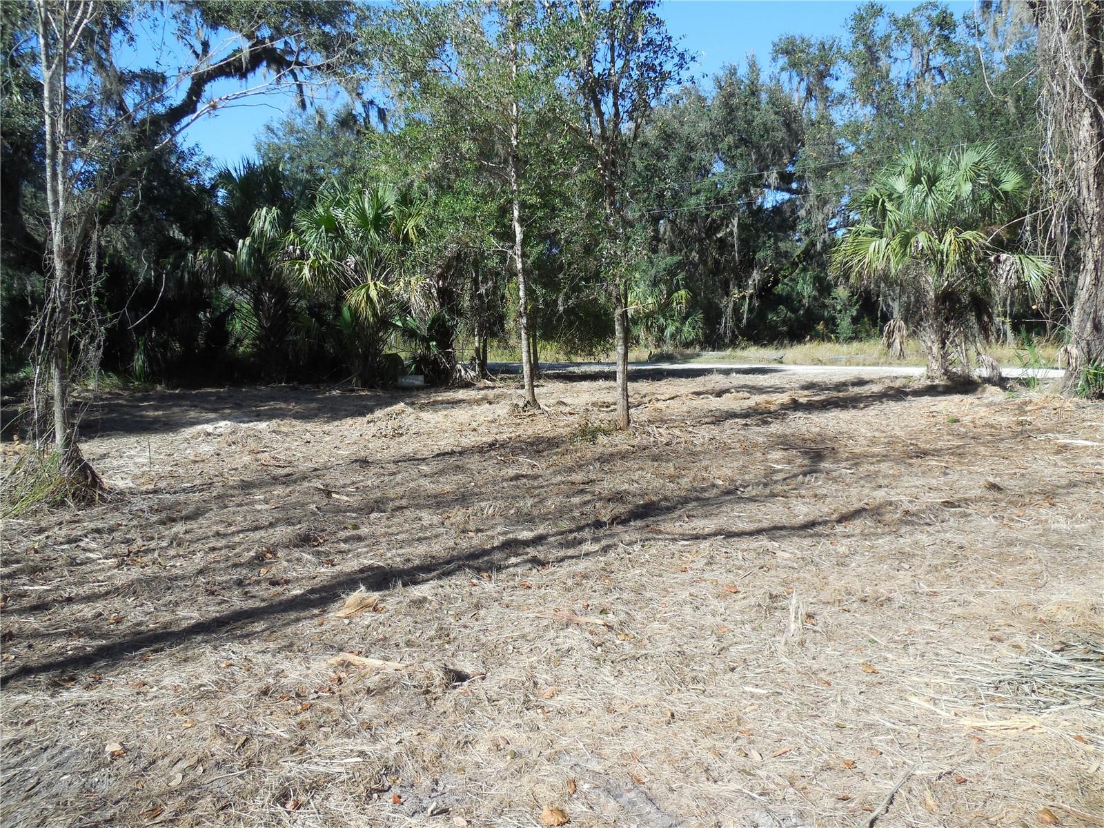 152 TALL OAK TRL, ZOLFO SPRINGS, FL, 33890