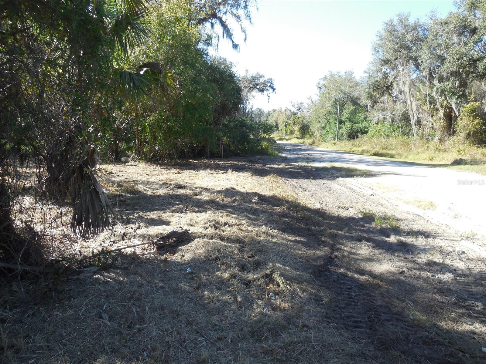 152 TALL OAK TRL, ZOLFO SPRINGS, FL, 33890