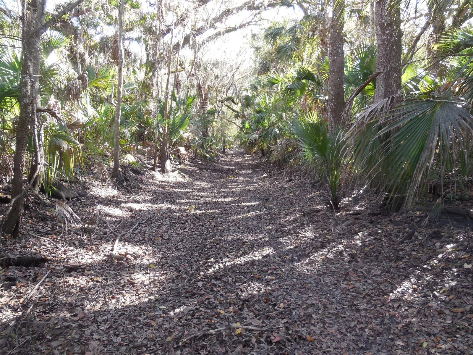 152 TALL OAK TRL, ZOLFO SPRINGS, FL, 33890