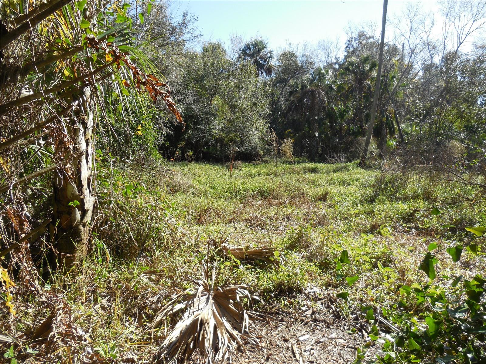 152 TALL OAK TRL, ZOLFO SPRINGS, FL, 33890