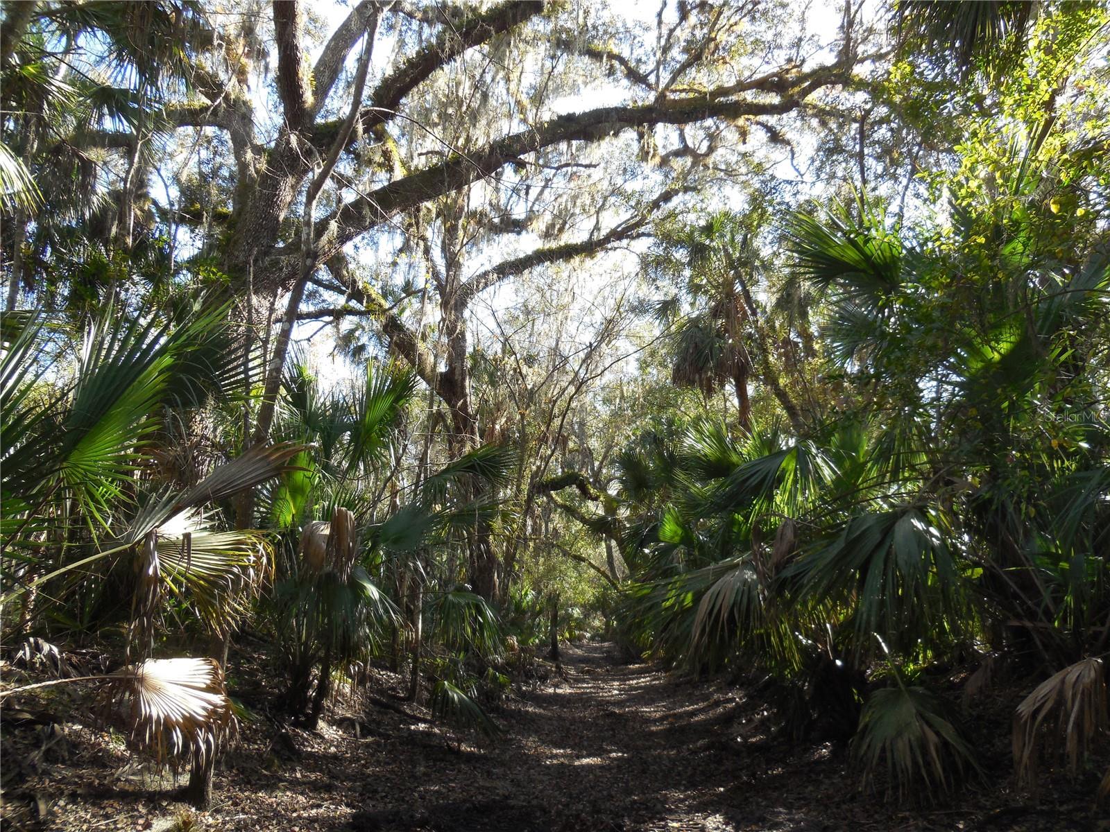 152 TALL OAK TRL, ZOLFO SPRINGS, FL, 33890