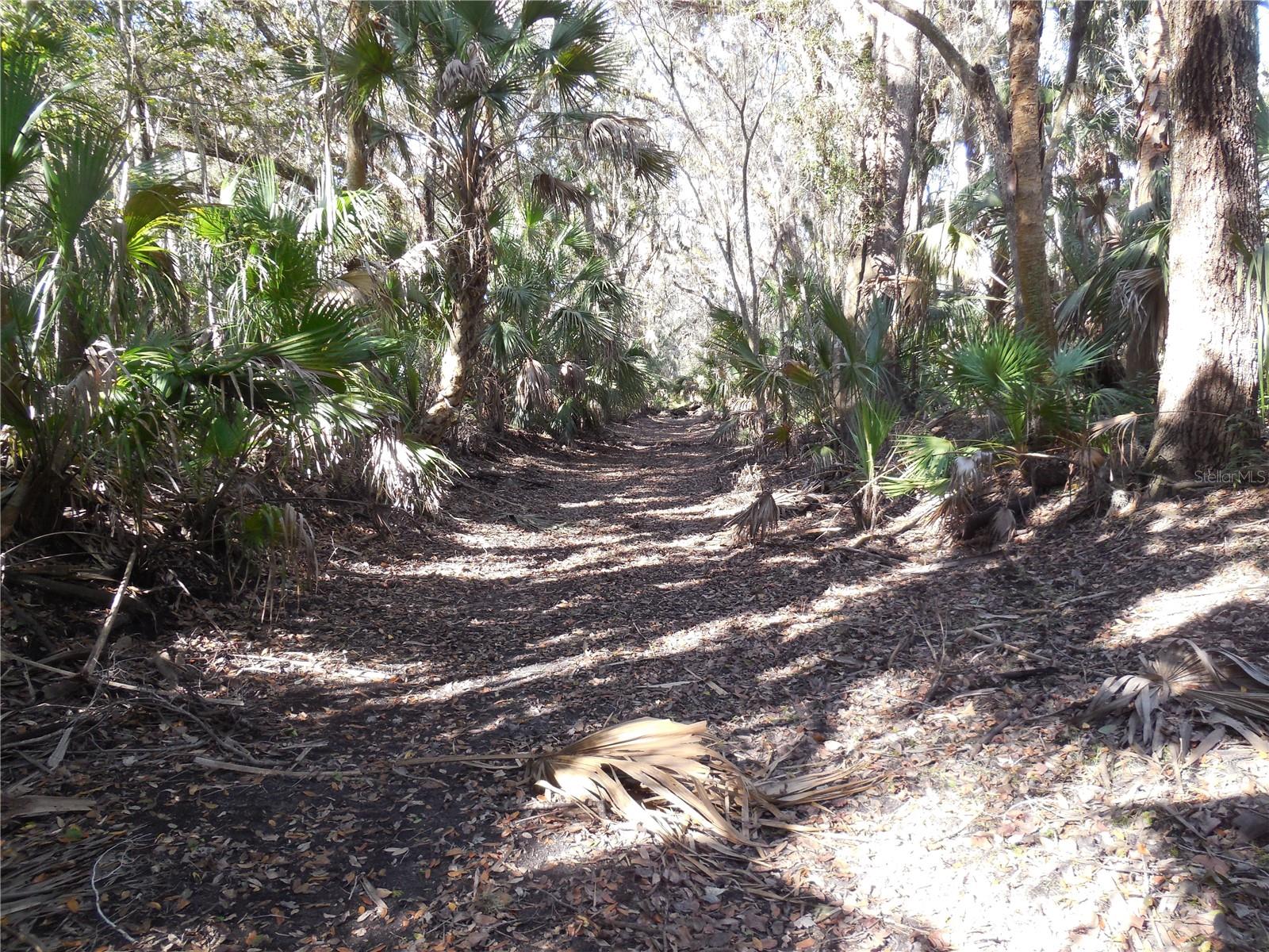 152 TALL OAK TRL, ZOLFO SPRINGS, FL, 33890