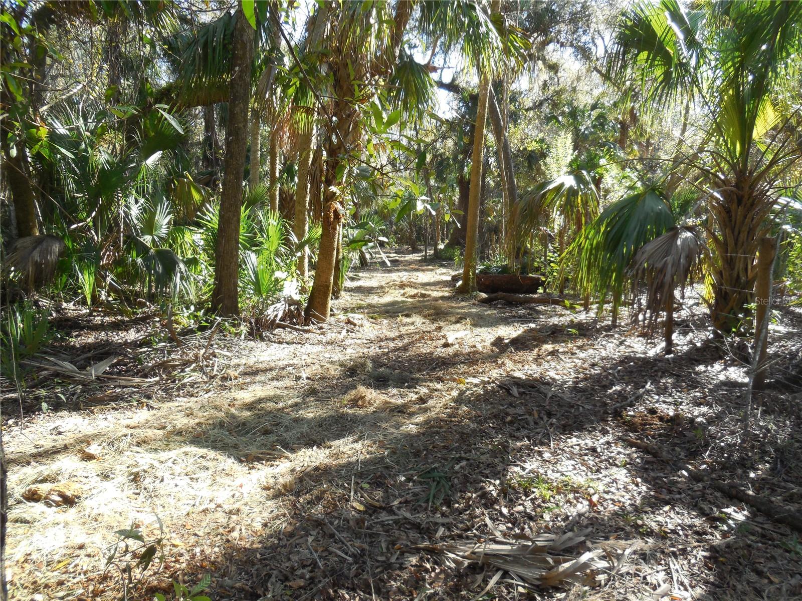 152 TALL OAK TRL, ZOLFO SPRINGS, FL, 33890