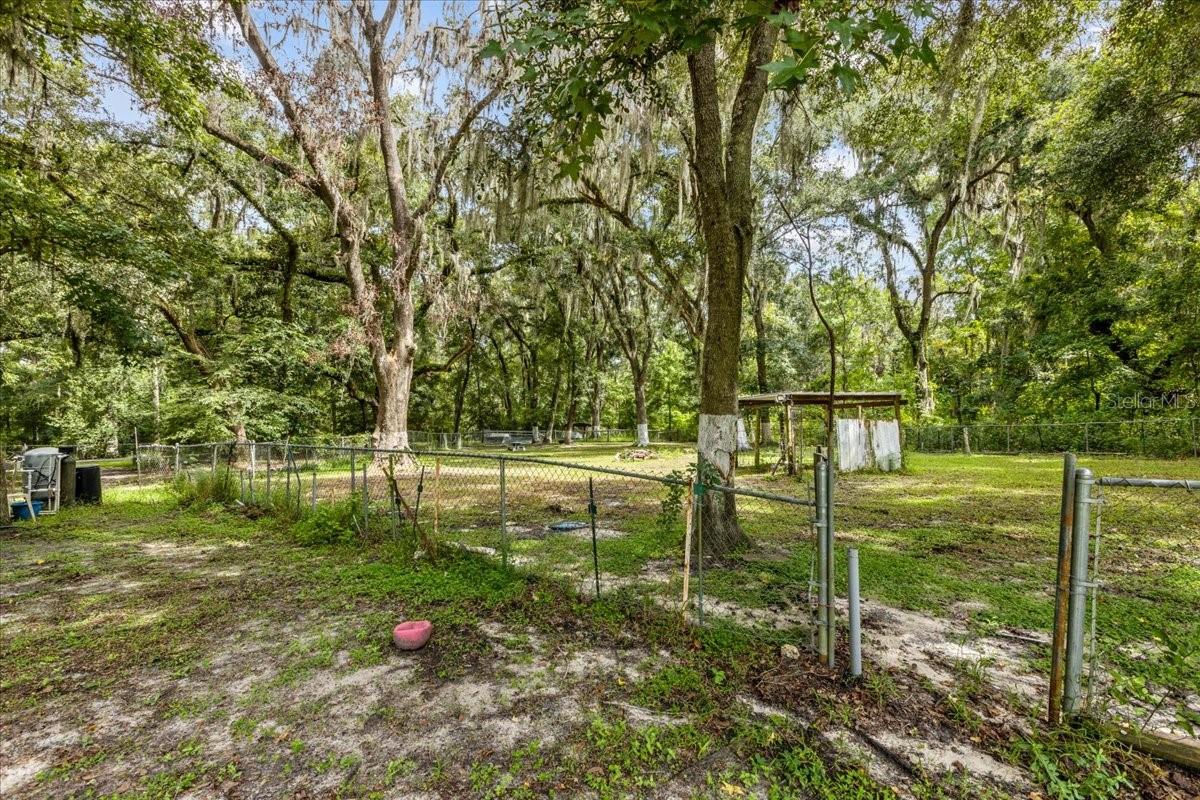 14670 W HIGHWAY 328, OCALA, FL, 34482