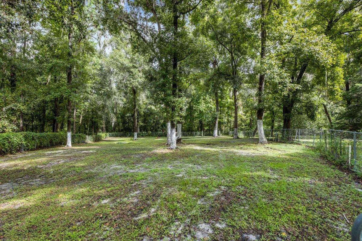 14670 W HIGHWAY 328, OCALA, FL, 34482