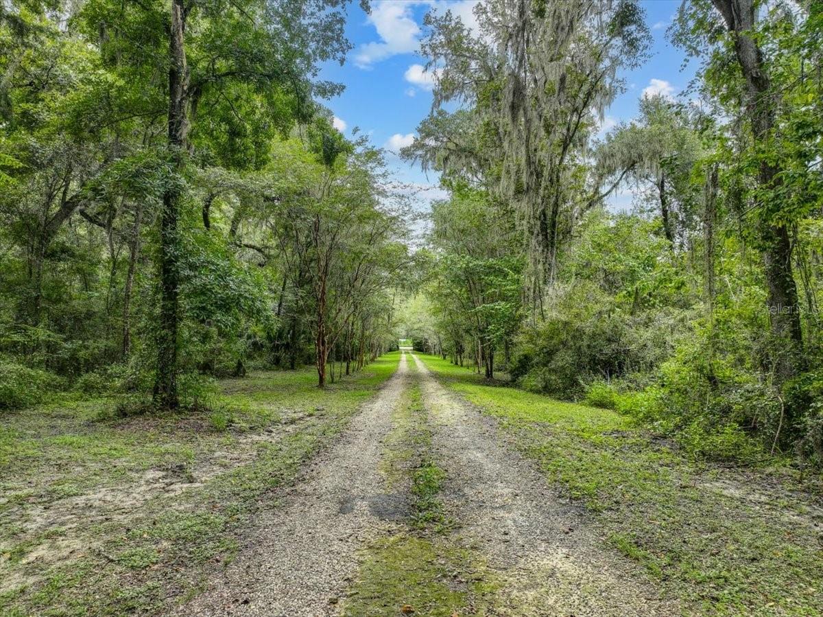 14670 W HIGHWAY 328, OCALA, FL, 34482