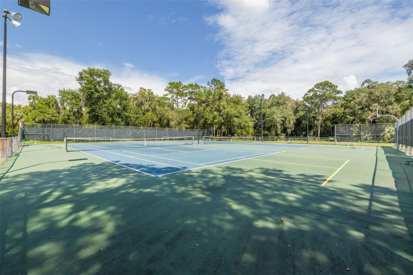 8796 SW 196TH TERRACE RD, DUNNELLON, FL, 34432