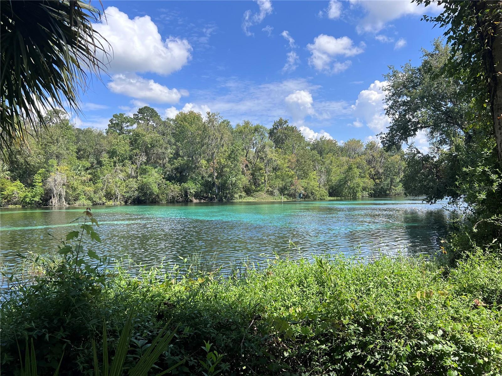 8796 SW 196TH TERRACE RD, DUNNELLON, FL, 34432