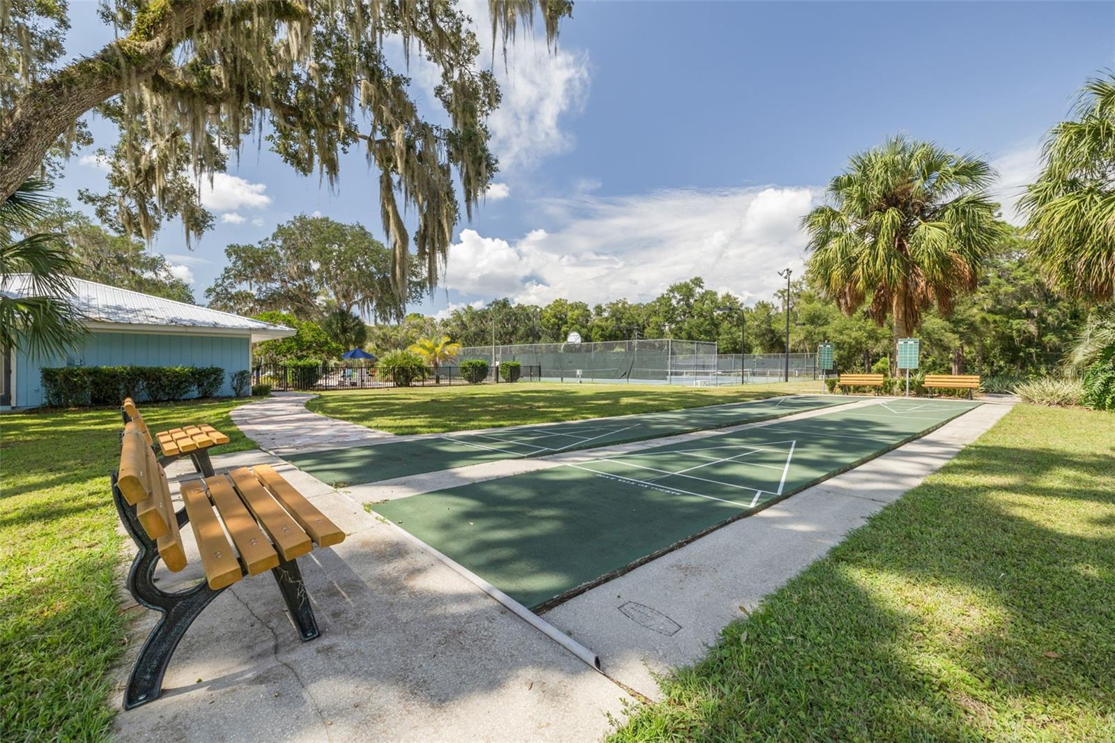 8796 SW 196TH TERRACE RD, DUNNELLON, FL, 34432