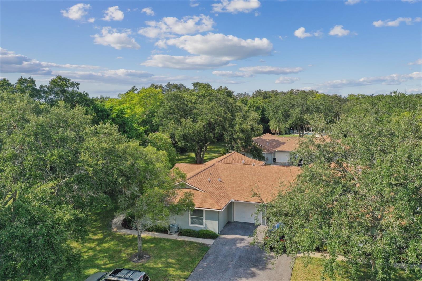 251 HIDDEN BROOK DR #102C, PALM HARBOR, FL, 34683