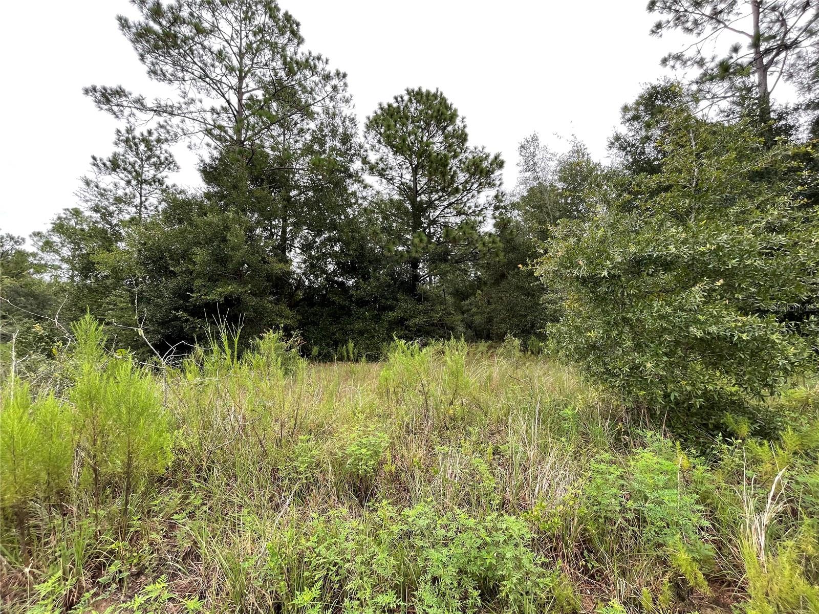 BEGONIA CT, DUNNELLON, FL, 34431