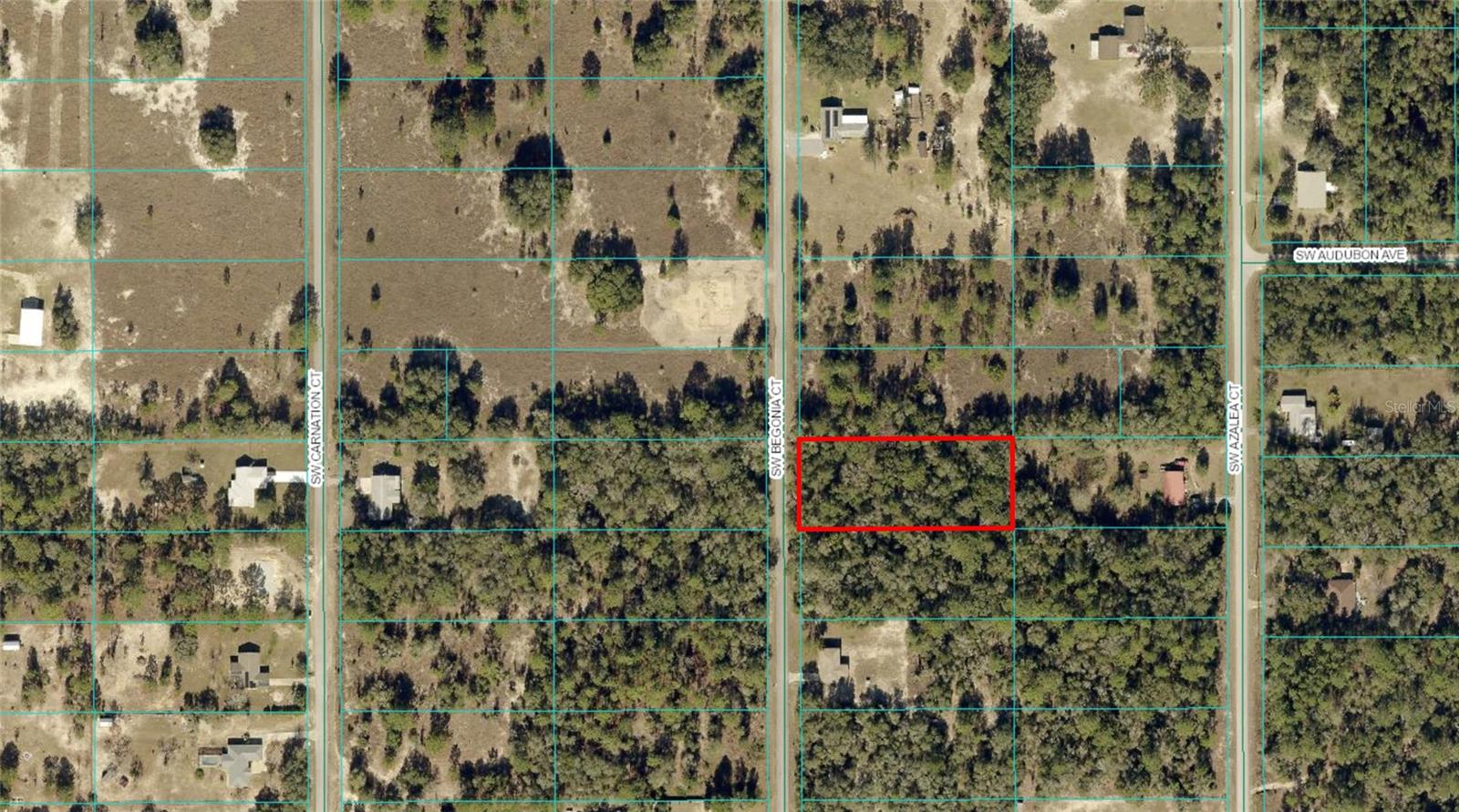 BEGONIA CT, DUNNELLON, FL, 34431