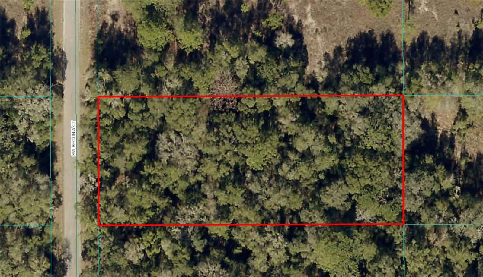 BEGONIA CT, DUNNELLON, FL, 34431