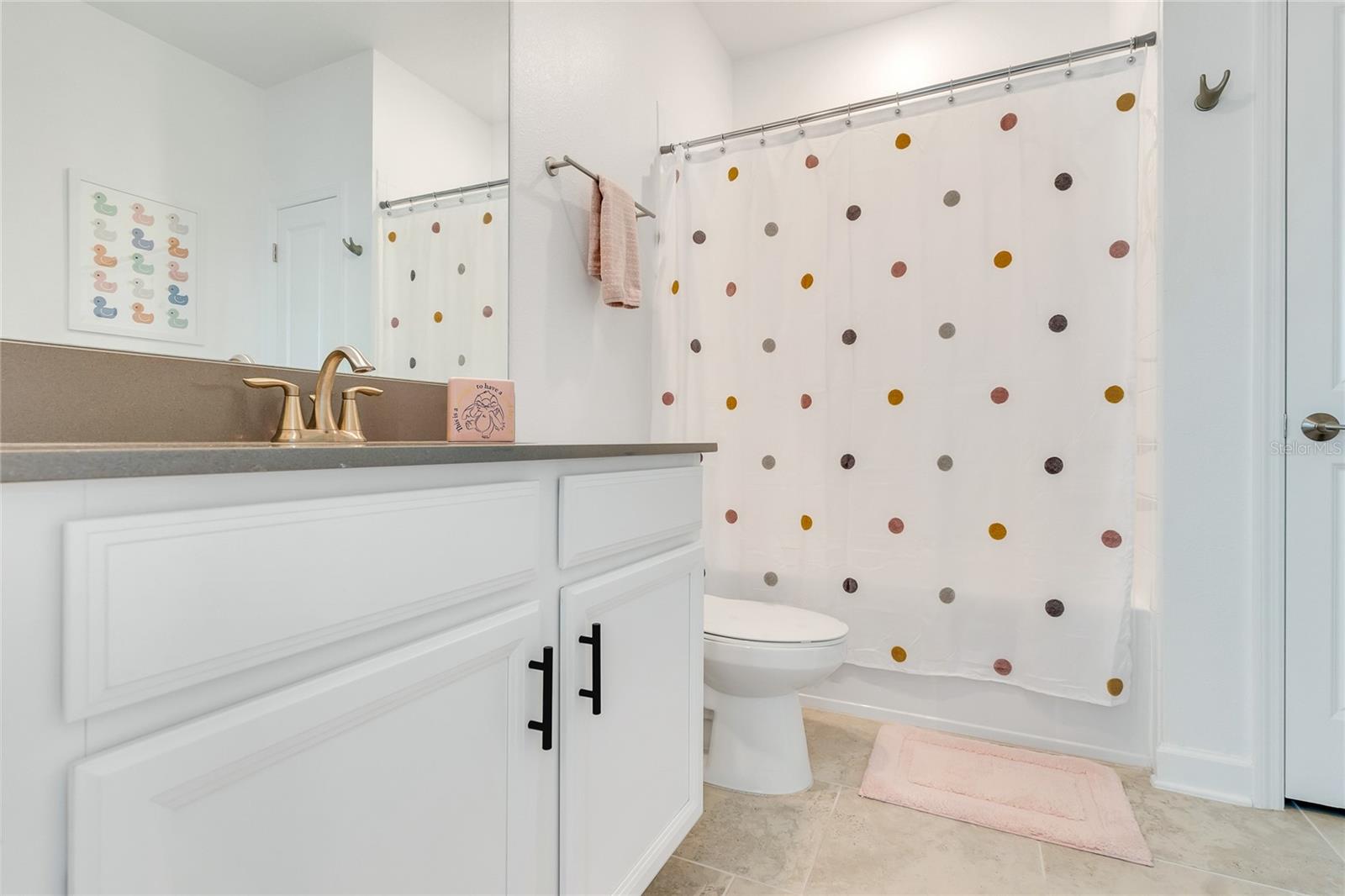 2985 HOWLEY ALY, SAINT CLOUD, FL, 34771