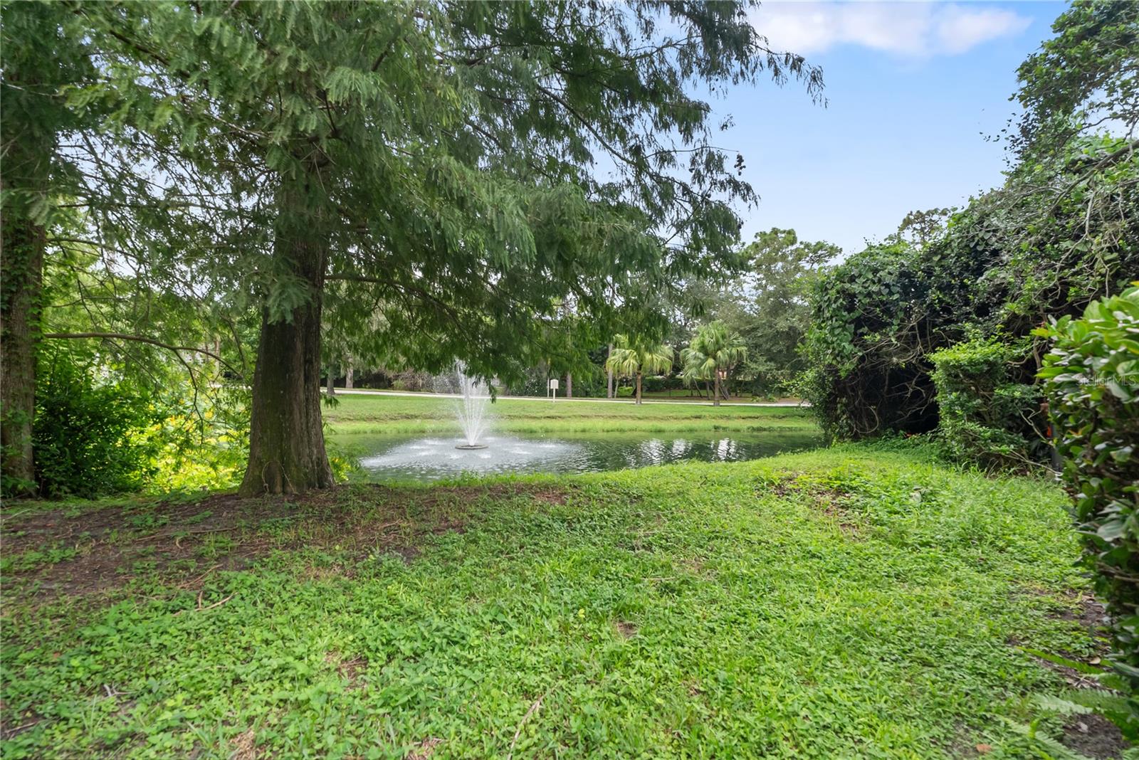 303 OLD MILL POND RD #303, PALM HARBOR, FL, 34683